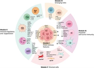 An integrated overview of the immunosuppression features in the tumor microenvironment of pancreatic cancer